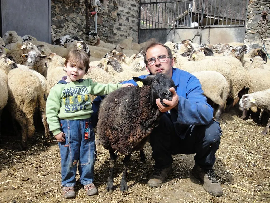 La Cabanya De Cal Forn De Serrat Queralbs  Casa rural