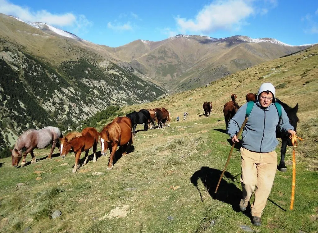 Casa rural La Cabanya De Cal Forn De Serrat Queralbs  España